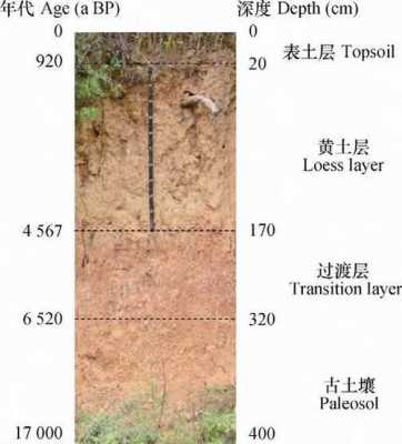 土壤有坡度（土壤坡度角的表示方法有哪些）-图2