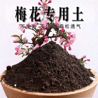 养梅土壤（梅花种植的土壤）