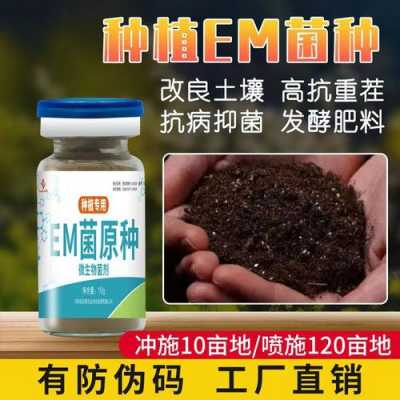 怎样用em菌改良土壤（em菌改善土壤）-图1