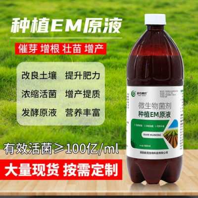 怎样用em菌改良土壤（em菌改善土壤）-图3