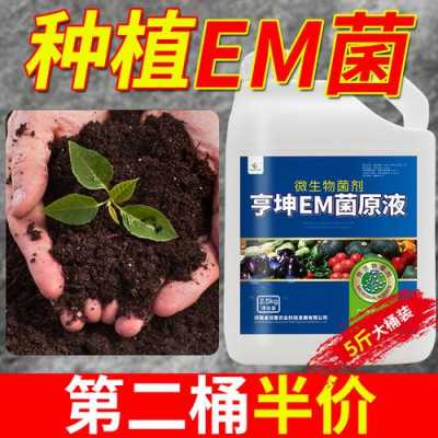 怎样用em菌改良土壤（em菌改善土壤）-图2