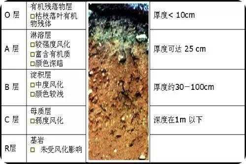 包含土壤分布的垂直分布规律的词条