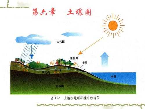 自然地理学土壤圈（土壤圈在地理环境中的地位和作用）-图1