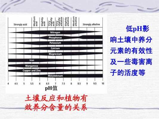 土壤中含氨（土壤含氨超量怎么办）-图1