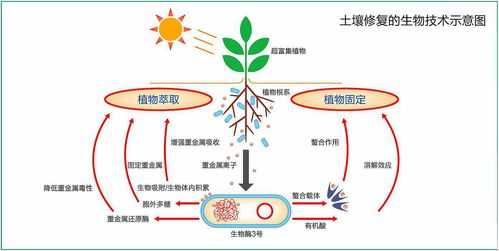 土壤修复的好处（土壤修复的优缺点）