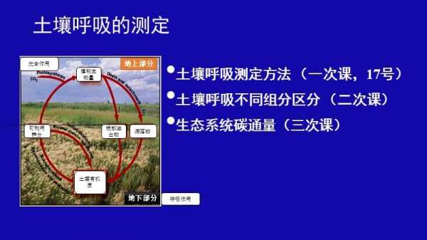 土壤呼吸单位（土壤呼吸单位是什么）-图1
