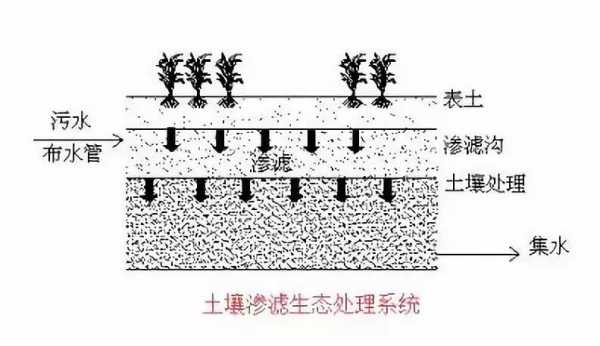 土壤渗滤（土壤渗滤技术）-图2