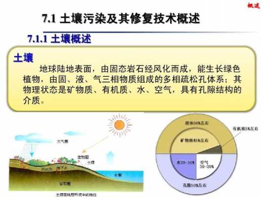 盐污染土壤吗（污染土壤修复技术）-图3