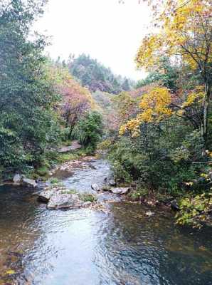 小草坝土壤（小草坝在哪儿）