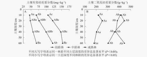 土壤空白二氧化硅（土壤中含有二氧化硅吗）