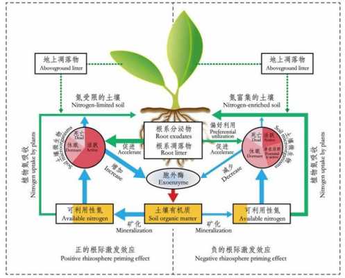 土壤能量来源（土壤能量来源是什么）