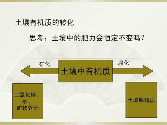 土壤肥力改良（土壤肥力改良措施）-图3