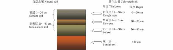 在农田土壤的表层（土壤表中深层）-图2