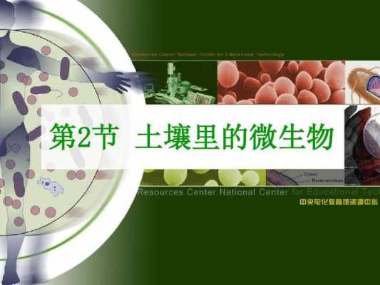 土壤微生物区系分析（土壤微生物分布情况）-图2