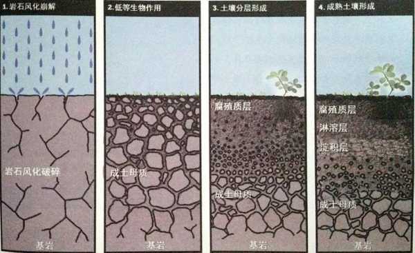 土壤已改变（改变土壤结构）-图2