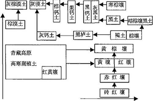 土壤地带性分布（土壤地带性分布规律包括）-图3