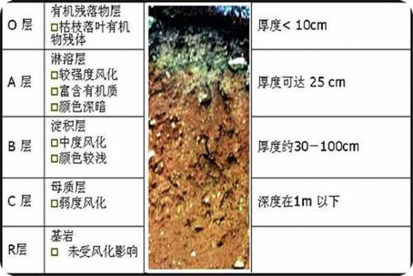 土壤淋溶（土壤淋溶作用是好还是坏）-图1