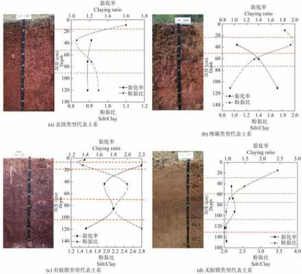 土壤淋溶（土壤淋溶作用是好还是坏）-图2