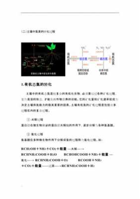 土壤矿化作用（土壤矿化势名词解释）-图3