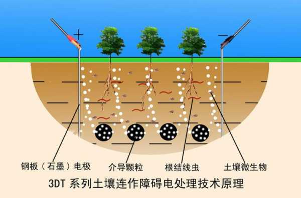 土壤带什么电荷（土壤带电性的应用）-图2