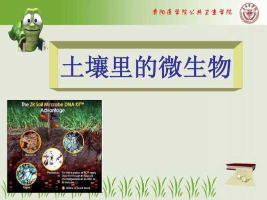 土壤中的生物（土壤中的生物和非生物）-图1