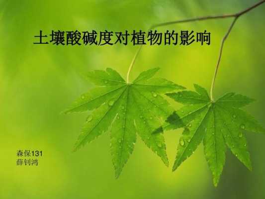 植物对土壤酸碱（植物对土壤酸碱的作用）-图2