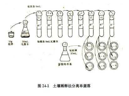 生物土壤稀释（土壤稀释法）