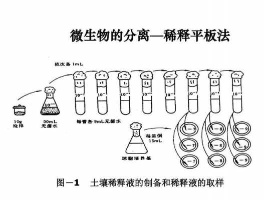 生物土壤稀释（土壤稀释法）-图2