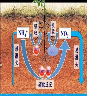 土壤学活动酸（土壤酸化示意图）-图1