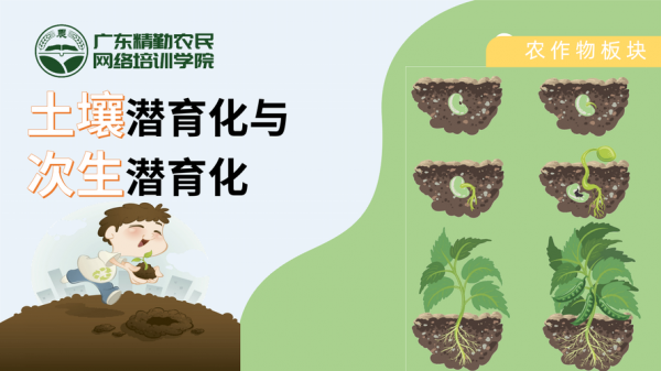 土壤潜育性（土壤潜育化的治理对策）-图1