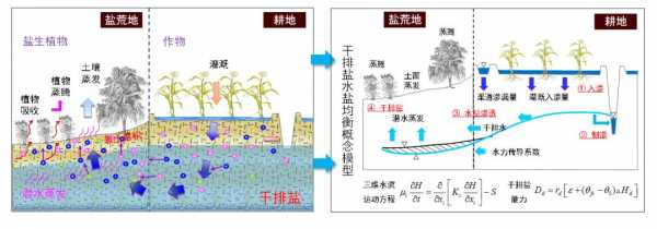 华北土壤（华北土壤盐渍化的原因）-图3