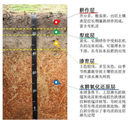 土壤发（土壤发生层）-图3