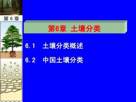 土壤地理学简答题（土壤地理学第二章ppt）-图3