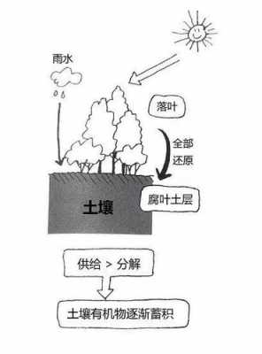 土壤与农业的关系（土壤与农业的关系有哪些）-图1