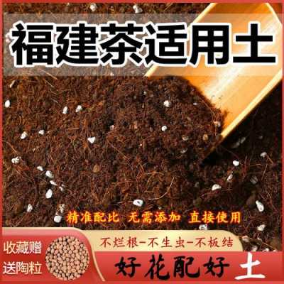 土壤哪种好（种茶的土壤条件）