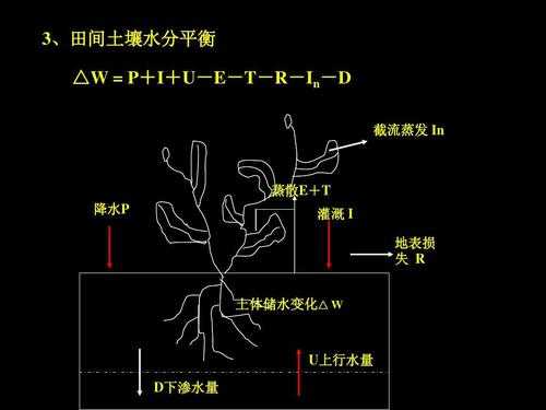 土壤水平衡（土壤水平衡规律是什么）