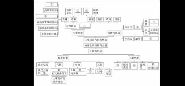 植被与土壤的关系（植被与土壤知识框架图）