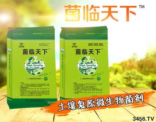 土壤细菌检测（土壤有细菌用什么药）-图1