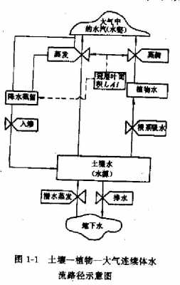 土壤作物（土壤作物大气连续体图）-图2