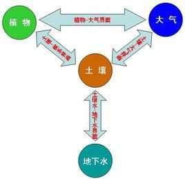 土壤作物（土壤作物大气连续体图）-图3