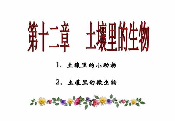 土壤为动物提供了（土壤为动物提供了什么条件科学课）-图1