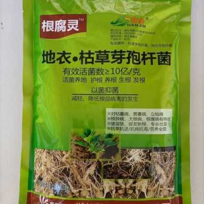 药材土壤杀菌（中药材土壤杀菌剂用什么药物好）-图3