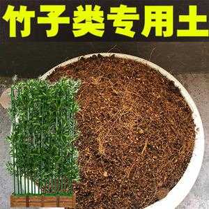 节节高土壤（节节高施什么肥料）-图2