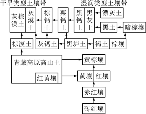 泥性土壤（地带性土壤）