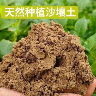 砂质土壤适合什么植物（砂质土壤适合什么植物呢）