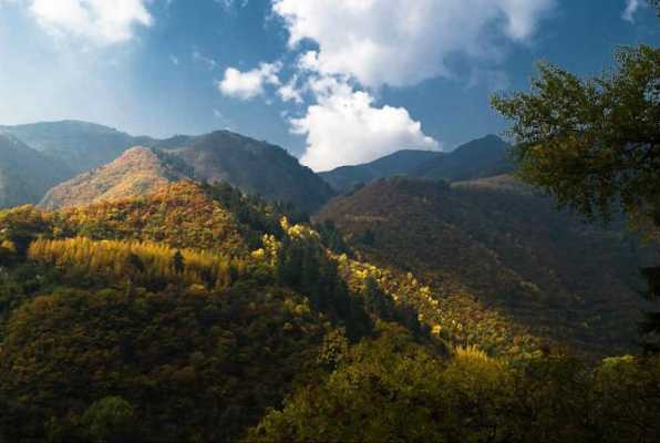 兴隆山土壤（兴隆山土壤的属性特征）-图2