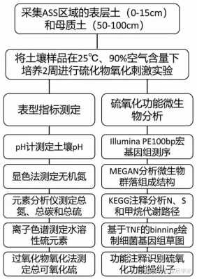 土壤宏基因组学（土壤功能基因测定）