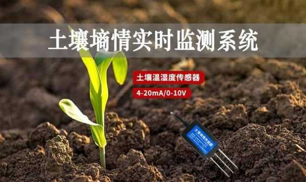 土壤温度对植物的影响（土壤温度对土壤肥力的影响）-图1