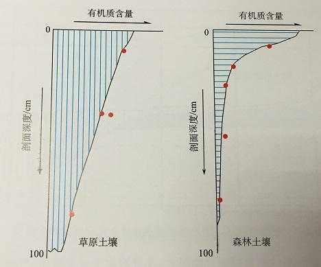 坡度对土壤（坡度对土壤水分的影响）