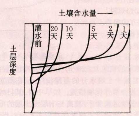 土壤水再分布（土壤水再分布过程）-图2